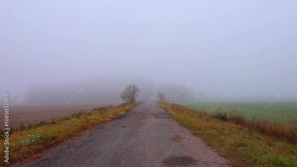 The countryside road and autumn fields in fog The countryside road and autumn fields in fog