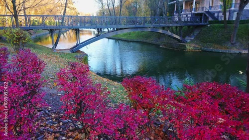 In autumn park by the river photo