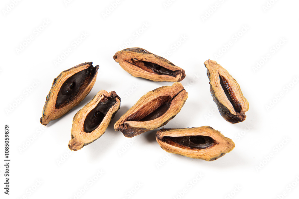 dried betel nuts snack isolated on white background. dried betel nuts snack isolated on white background.