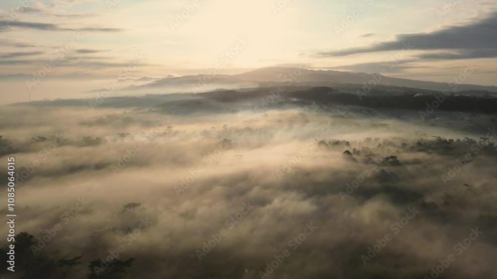 Point of view drone flying over the morning mist over forests and trees with a background of hills and mountains and a dramatic sunrise in the morning Point of view drone flying over the morning mist over forests and trees with a background of hills and mountains and a dramatic sunrise in the morning