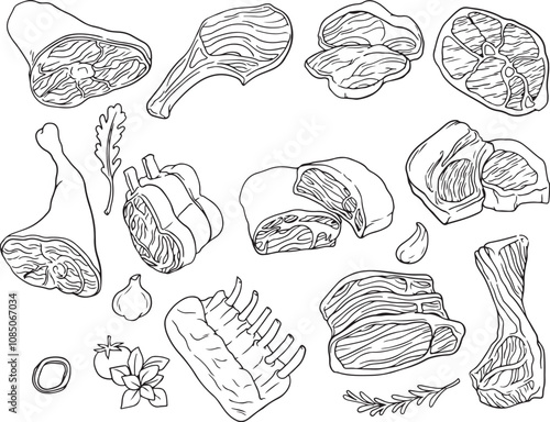Fresh meat illustration set. Clorful set - Black line vector
