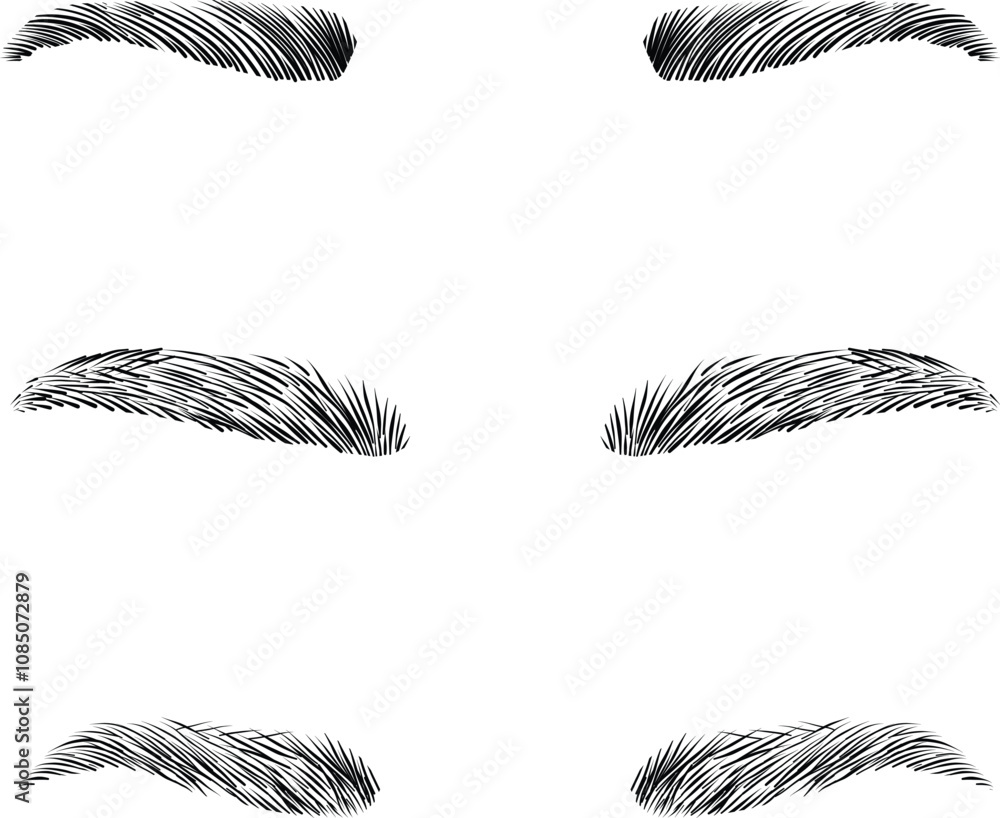 Obraz premium Illustration vector Eyebrows Beauty Collection. Various Female Brows Types. Eyebrow embroidery, Permanent Makeup, Microblading, Micropigmentation. Beauty treatment, body care, beautician concept.