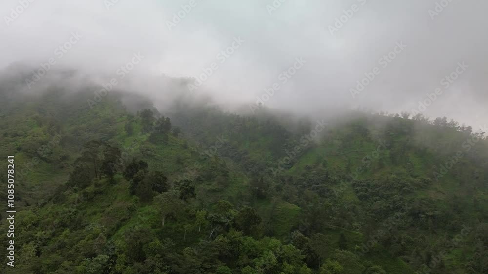 misty morning in the mountains misty morning in the mountains