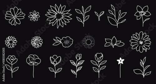 White Botanical Line Art Flowers Vector Art Floral Drawing Minimalist Card Design For Wedding or Florist Logo