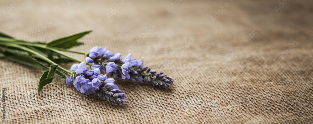 A delicate bunch of lavender flowers resting on a textured burlap surface, showcasing their calming purple hues. A delicate bunch of lavender flowers resting on a textured burlap surface, showcasing their calming purple hues.