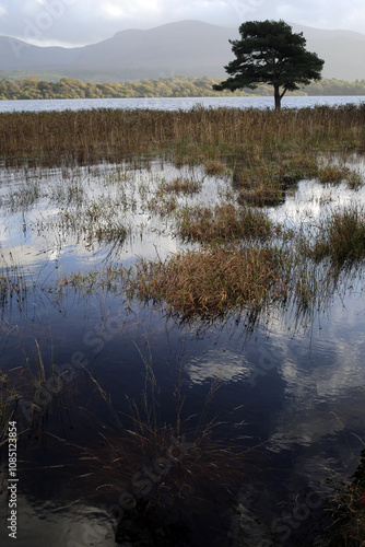 Lough Leane - Muckross house estate - Killarney - Co. Kerry - Republic of Ireland photo