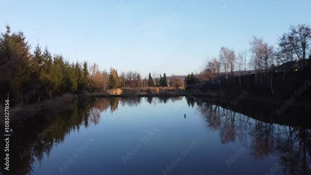 reflection of trees in the water lake pond reflection of trees in the water lake pond