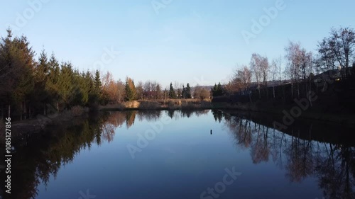 reflection of trees in the water lake pond