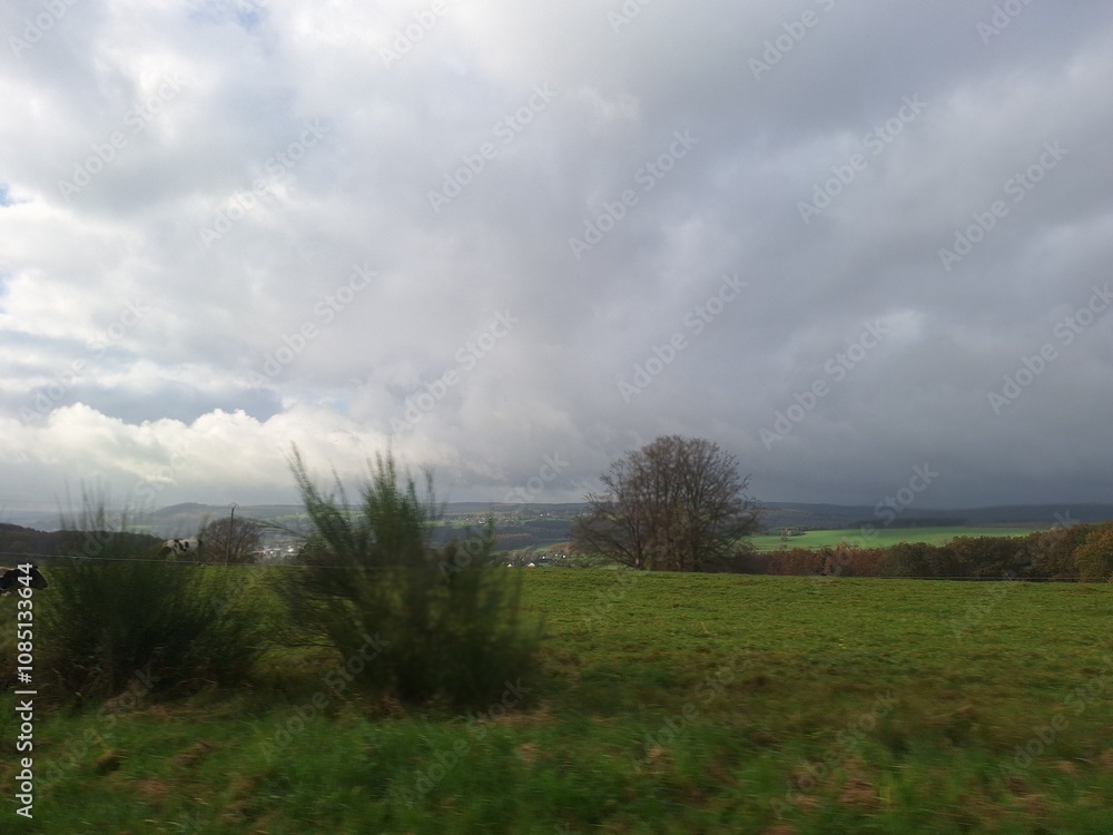 Ardennen in the mist