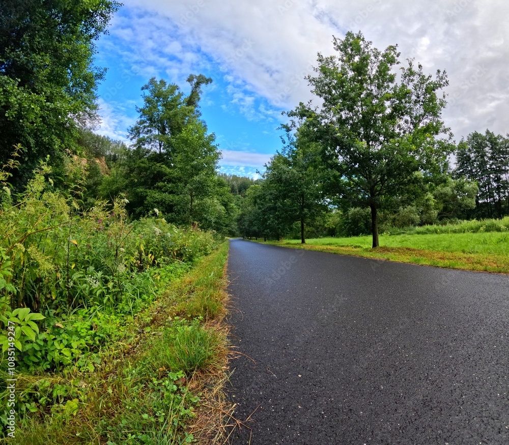 Morning empty narrow road with grass and trees under the summer blue sky and clouds. Hiking in the nature, travel photography. Green landscape, road, plants and trees. Clouds and nature. Morning empty narrow road with grass and trees under the summer blue sky and clouds. Hiking in the nature, travel photography. Green landscape, road, plants and trees. Clouds and nature.