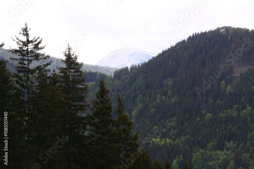 Wedrujac po gorach.