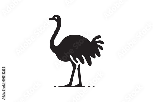 ostrich bird vector silhouette isolated in white background photo