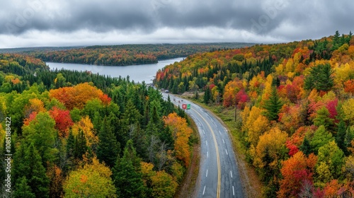 Serene Autumn Road Through Vibrant Foliage