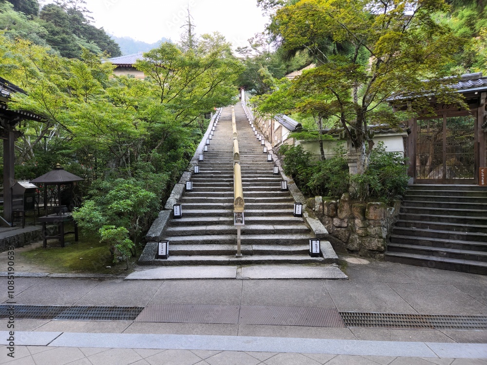 SF4 SF4