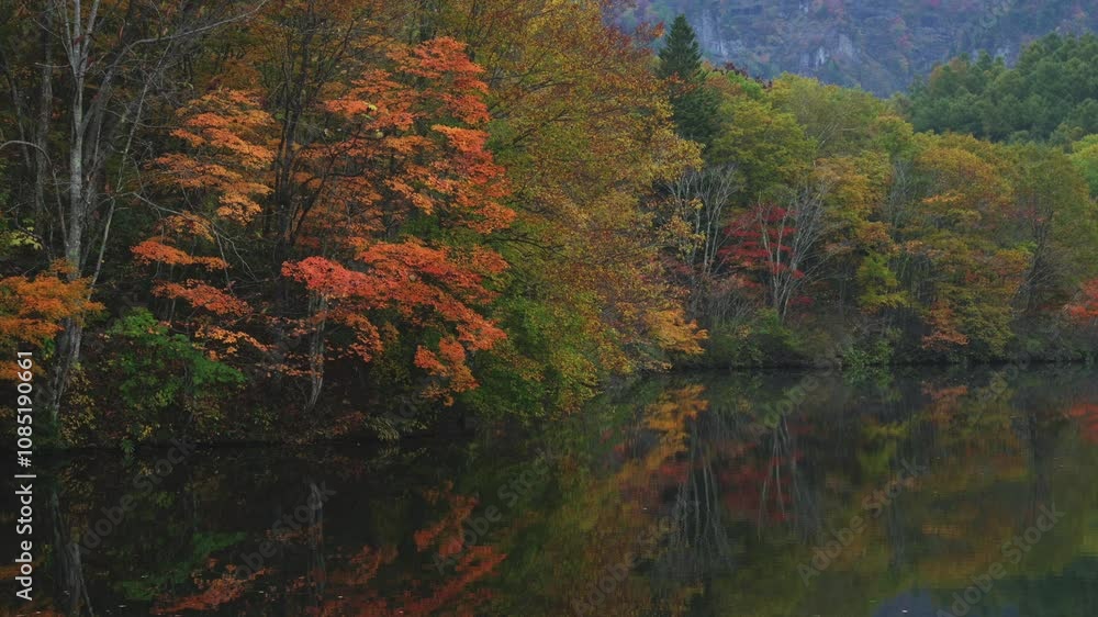 水面に紅葉が写り込んだ戸隠鏡池 水面に紅葉が写り込んだ戸隠鏡池