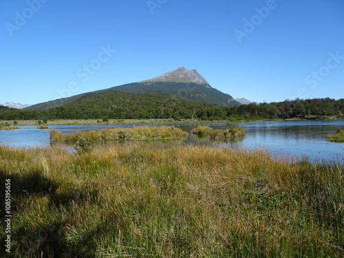 the national park in Ushuaia, austral land in Tierra del Fuego, Patagonia argentina. Wilderness landscape with meadow, shore and mountain in clear blue sky with copy space. South america travel