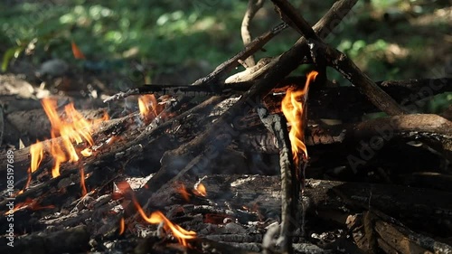 A bonfire burning dry leaves.