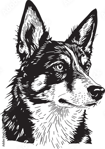 Australian Cattle Dog Dog Puppy Portrait Linear Drawing Sketch Art Black and White Vector Illustration