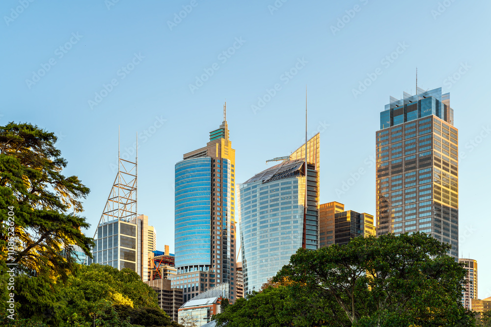 Sydney City skyline at sunset while viewed across Royal Botanic Gardens Sydney City skyline at sunset while viewed across Royal Botanic Gardens