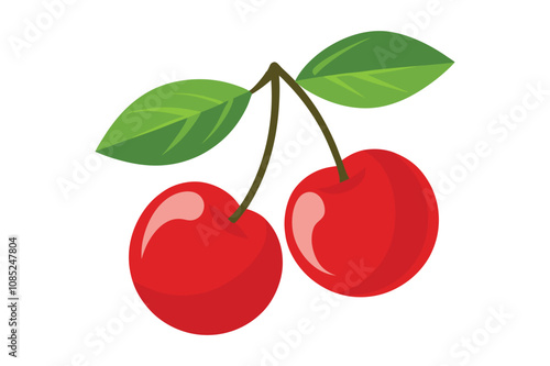 fresh delicious cherries with leaves vector illustration