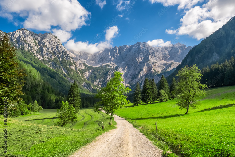 Fototapeta premium Idyllic green valley with magnificent Alps mountains in Slovenia