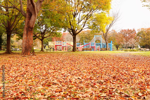 埼玉県熊谷市スポーツ文化公園の秋の風景