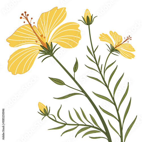 Coreopsis flower vector illustration 