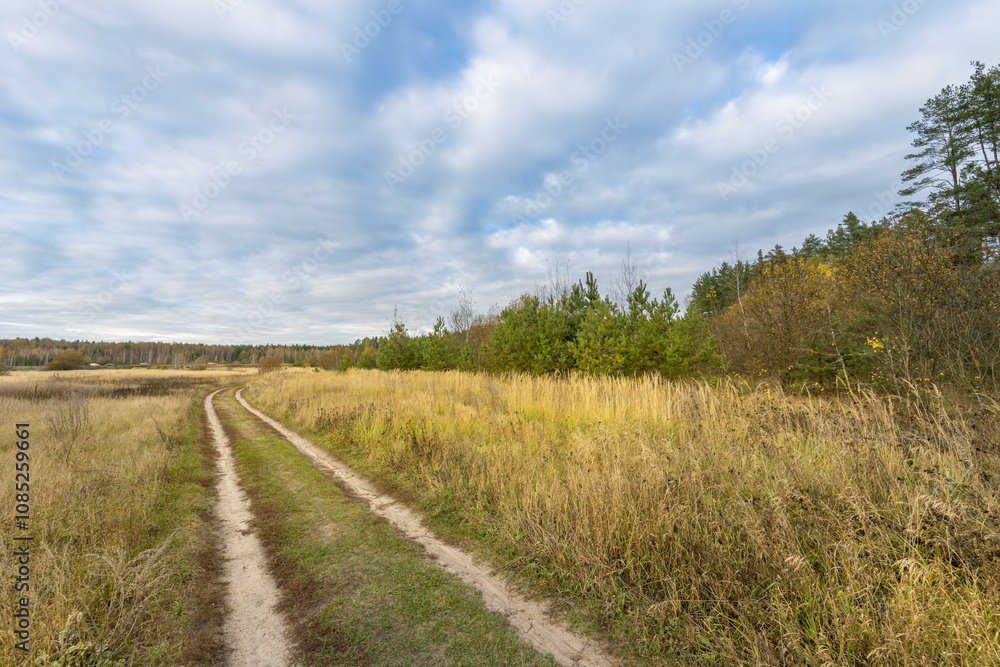 A dirt road in a field with trees in the background A dirt road in a field with trees in the background