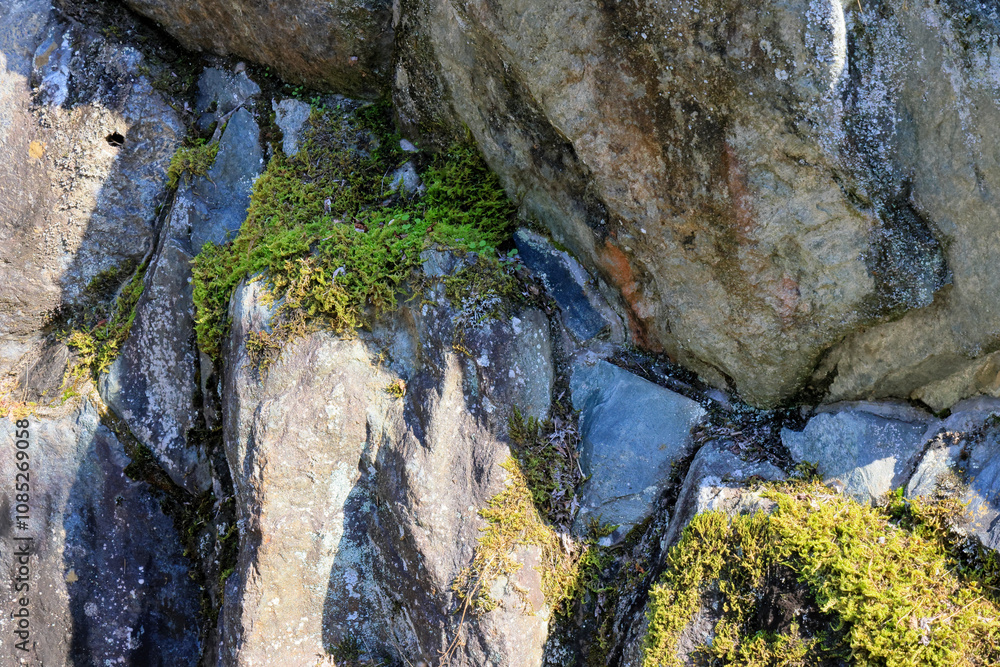 Obraz premium 日本周遊 四国別子峡谷あたり