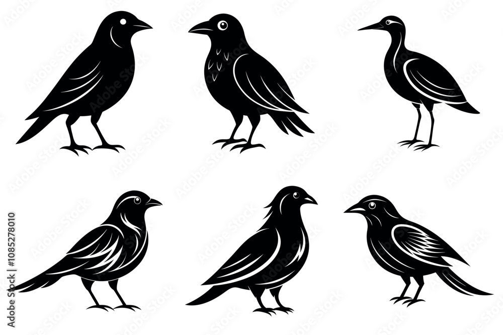 Set of Bird Silhouette Vector Illustration With White Background Set of Bird Silhouette Vector Illustration With White Background