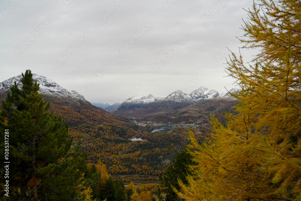Fototapeta premium View from Muottas Muragl over the valley near Pontresina and St. Moritz in autumn