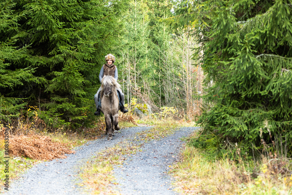 Icelandic horse riding. Rider has werewolf theme outfit Icelandic horse riding. Rider has werewolf theme outfit