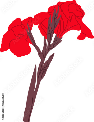 Hand-Drawn of Red Canna Lily Flower Illustration