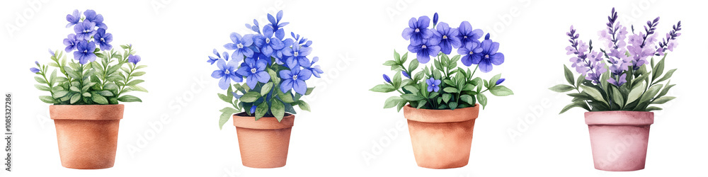 Vibrant Lobelia Erinus Flowers in Rustic Ceramic Pots Watercolor Painting Artwork Vibrant Lobelia Erinus Flowers in Rustic Ceramic Pots Watercolor Painting Artwork