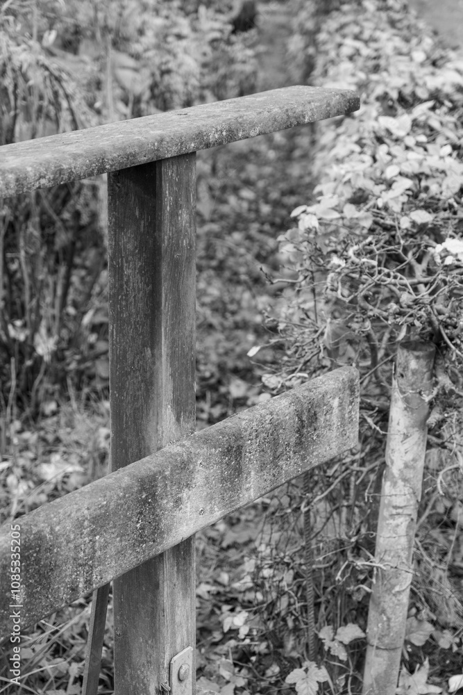 Fototapeta premium Herbstzeit im Dorf Weseke im Münsterland