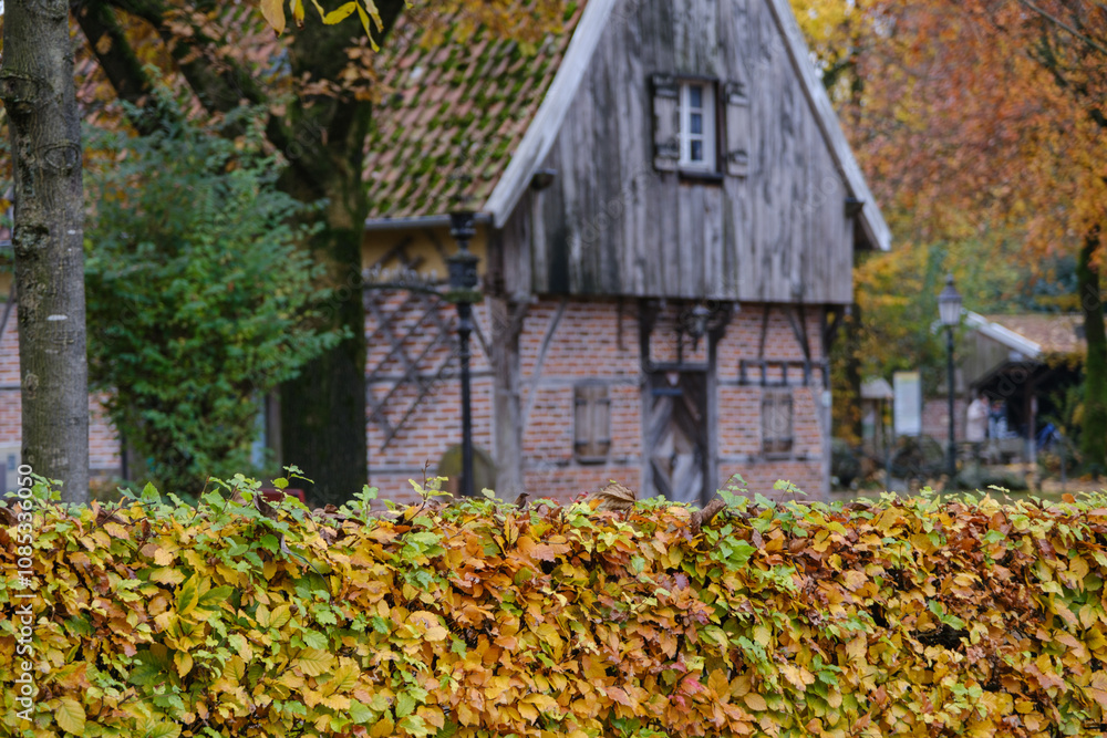 Herbstzeit im Dorf Weseke im Münsterland Herbstzeit im Dorf Weseke im Münsterland