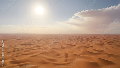 Vast Desert Landscape in the Gobi Desert Where Endless Sand Dunes Ripple Under the Bright Sun photo