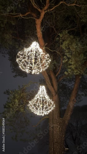 Christmas decoration lights on pine tree outdoors