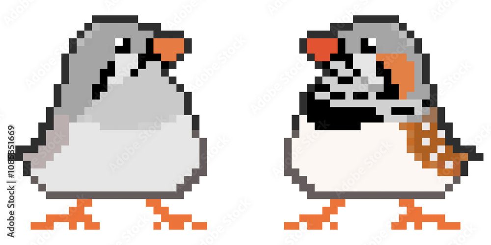 Obraz premium ドット絵, アニマルイラスト, キンカチョウのペア, ノーマル