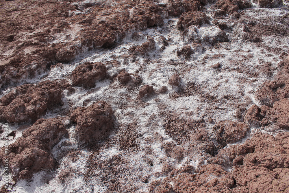 Rocky desert ground with unique textures, capturing the raw and natural beauty of the barren landscape. Rocky desert ground with unique textures, capturing the raw and natural beauty of the barren landscape.