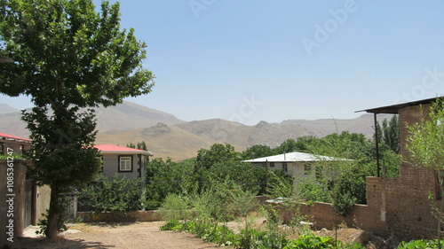 Tree in open field near traditional building, symbolizing rural lifestyle and natural beauty in a quiet setting.