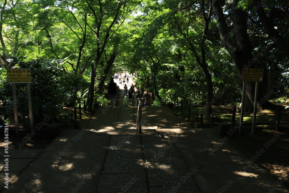 本土寺 本土寺