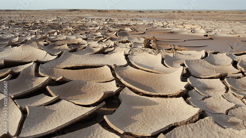 An intricate view of cracked desert soil, highlighting the harsh impact of environmental conditions and the beauty of natural textures.