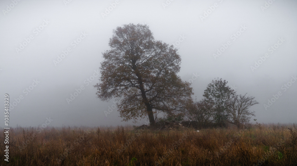 November mood - Novemberstimmung November mood - Novemberstimmung