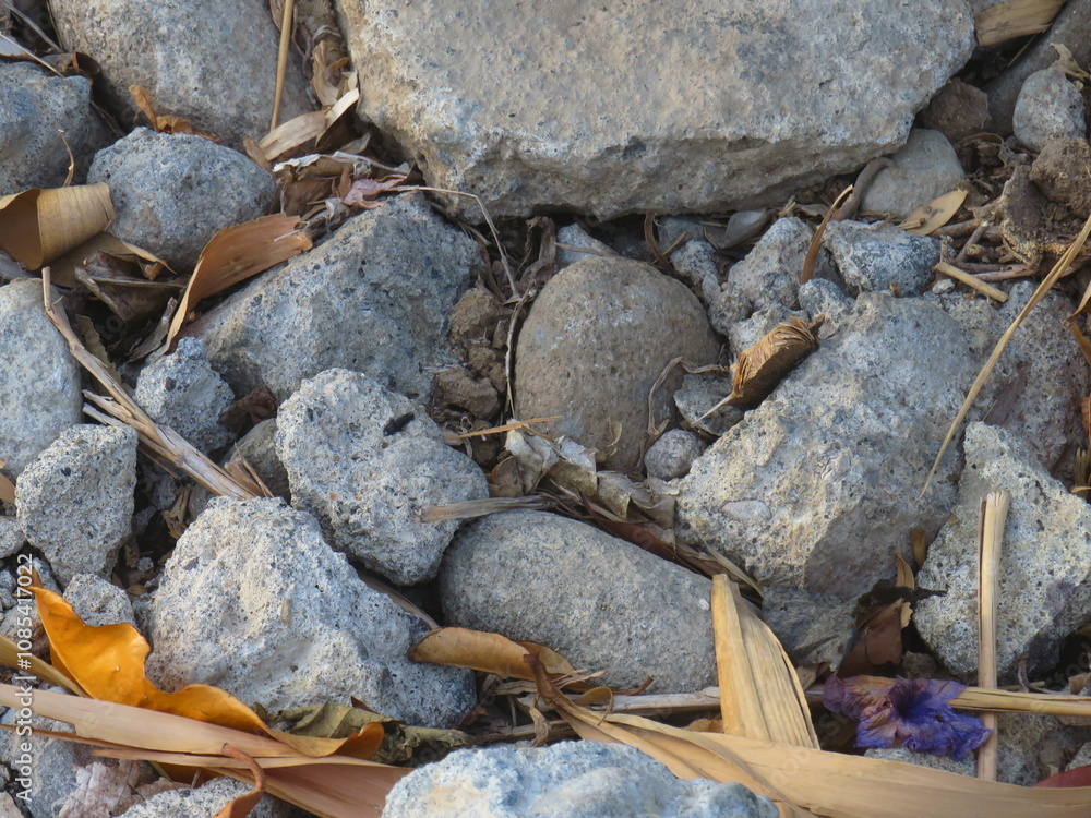 Natural Rock And Fallen Leaves In Autumn Setting Natural Rock And Fallen Leaves In Autumn Setting