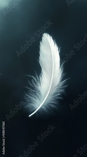 White Feather in the Dark: A single, delicate white feather floats against a dark, mysterious backdrop, symbolizing grace, lightness, and hope in a world of shadows. 