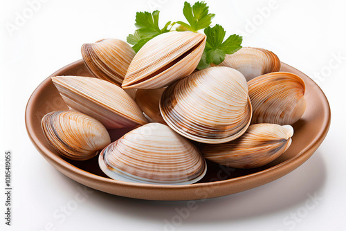 Piatto di vongole su sfondo bianco photo