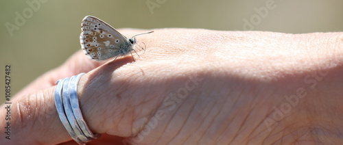 butterfly landed on the woman s thumb with a ring photo