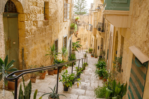 Old stairs with many plant pots in Birgu old town, Malta photo