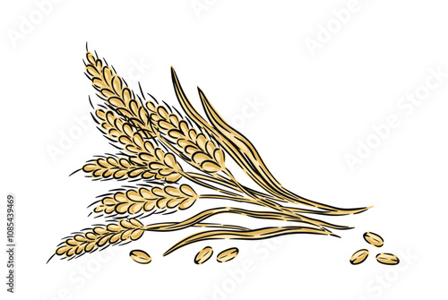 Hand drawn wheat stalks with grains illustrated in a minimalist style on white background